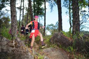 BIB: 1471
                            <button type="button" onclick="openModal(18957964)" class="btn btn-primary btn-sm float-right btn-popup" data-toggle="modal" data-target=".modal-high-quality">
                        <i class="fas fa-shopping-cart"></i> Add to Cart
                    </button>
                                            <button type="button" onclick="isThisMe(18957964, true)" class="btn btn-success btn-sm float-right btn-popup btn-isme hidden" data-toggle="tooltip" data-placement="bottom" title="นี่คือรูปของคุณใช่ไหม คลิกที่นี่เพื่อเอาเข้าอัลบั้ม">
                        <i class="fas fa-plus"></i> Add to album
                    </button>
                    <button type="button" onclick="isThisMe(18957964, false)" class="btn btn-warning btn-sm float-right btn-popup btn-isnotme hidden">
                        <i class="fas fa-ban"></i> Remove from album
                    </button>